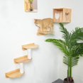 PETOMG DIY Cat Shelves, Cat Wall Furniture, Cat Wall Steps Cat Wall