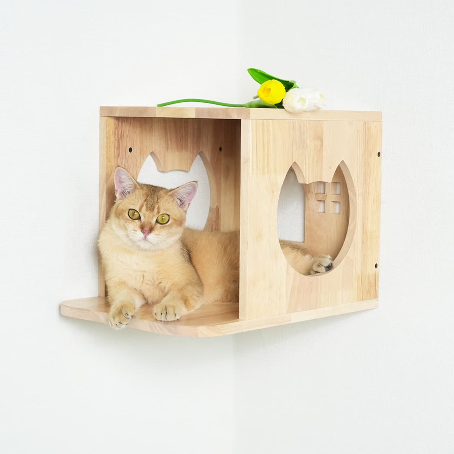 PETOMG Wall Mounted Cat House, Cat Wall Furniture, Cat Wall Bed ...