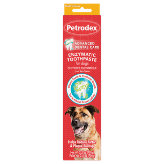 Dog Toothpaste in Dog Dental Care Walmart