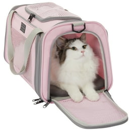 Cat carrier walmart sales