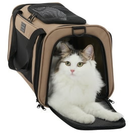 Soft Sided Kennel Pet Carrier for Small Dogs Cats Puppy Airline Approved Cat Carriers Dog Carrier Collapsible Travel Handbag Car Seat Walmart