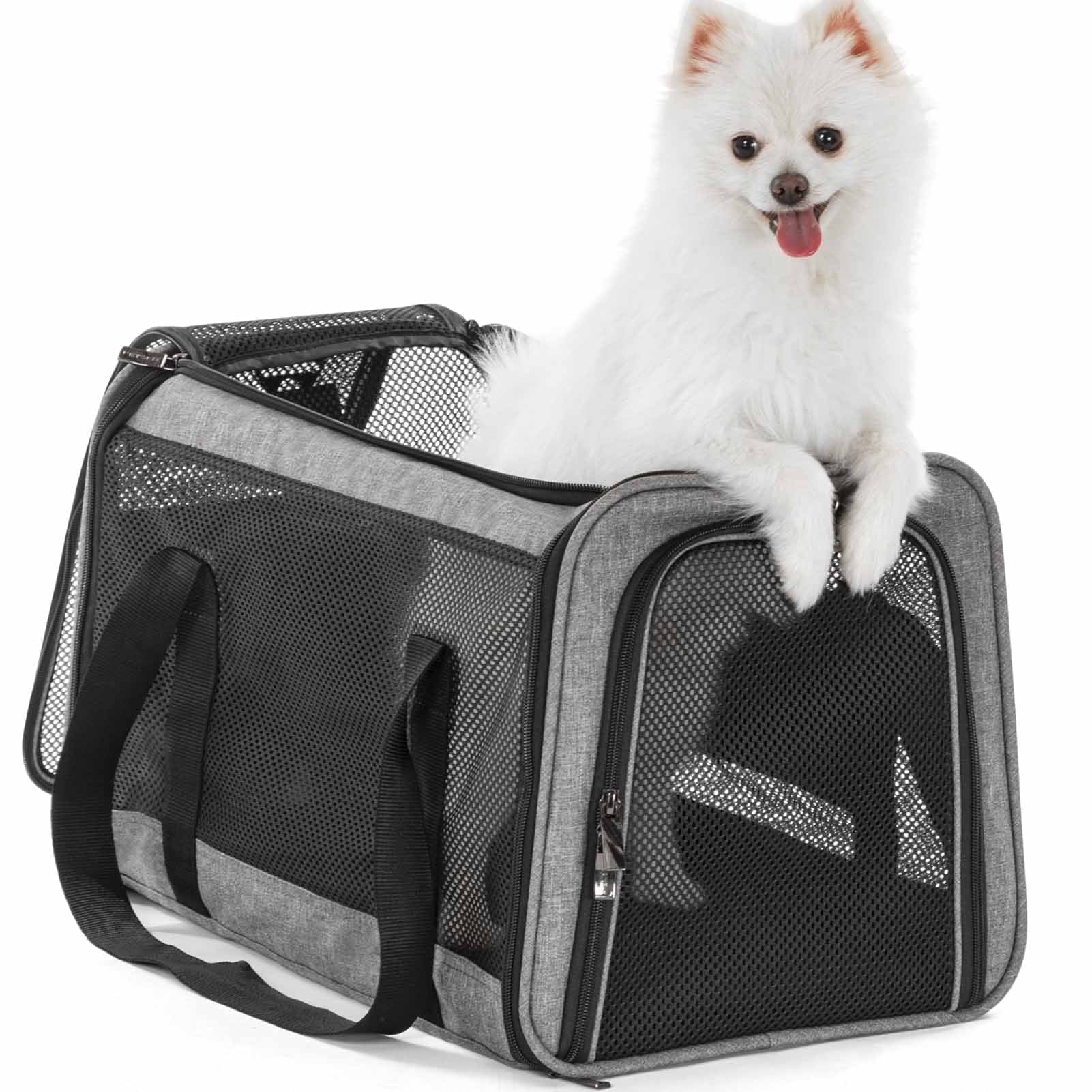 PETSFIT 19in Cat Carrier, Lightweight Portable Soft Pet Carrier for ...