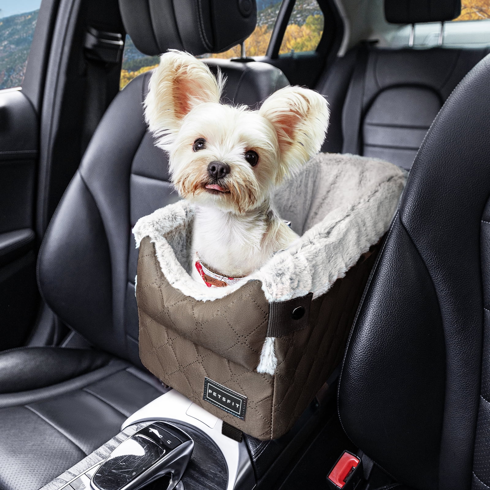 Center Console Dog Car Seat