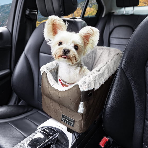 PETSFIT Center Console Dog Car Seat with Safe Protection Hooks, Pet Car Seat with Upgraded Safety Tethers, Washable Cushion, Console Dog Car Seats for Small Dogs (Coffee)
