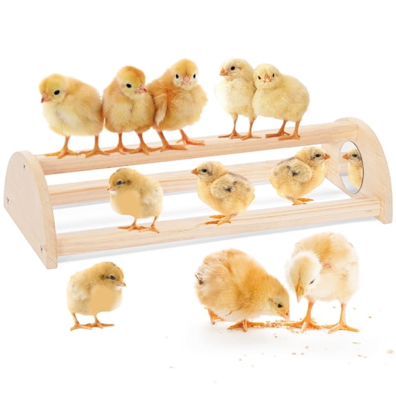 PETSFIT Chick Perch with Mirror, Solid Wooden Thicken Rooster Perch for Coop and Brooder for Birds, Baby Chicks Fun Toys for Chick