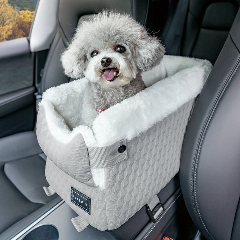 Brown Poodle Car Seat Cover (Set of 2) Brown Poodle Car Seat Cover (Set of 2)