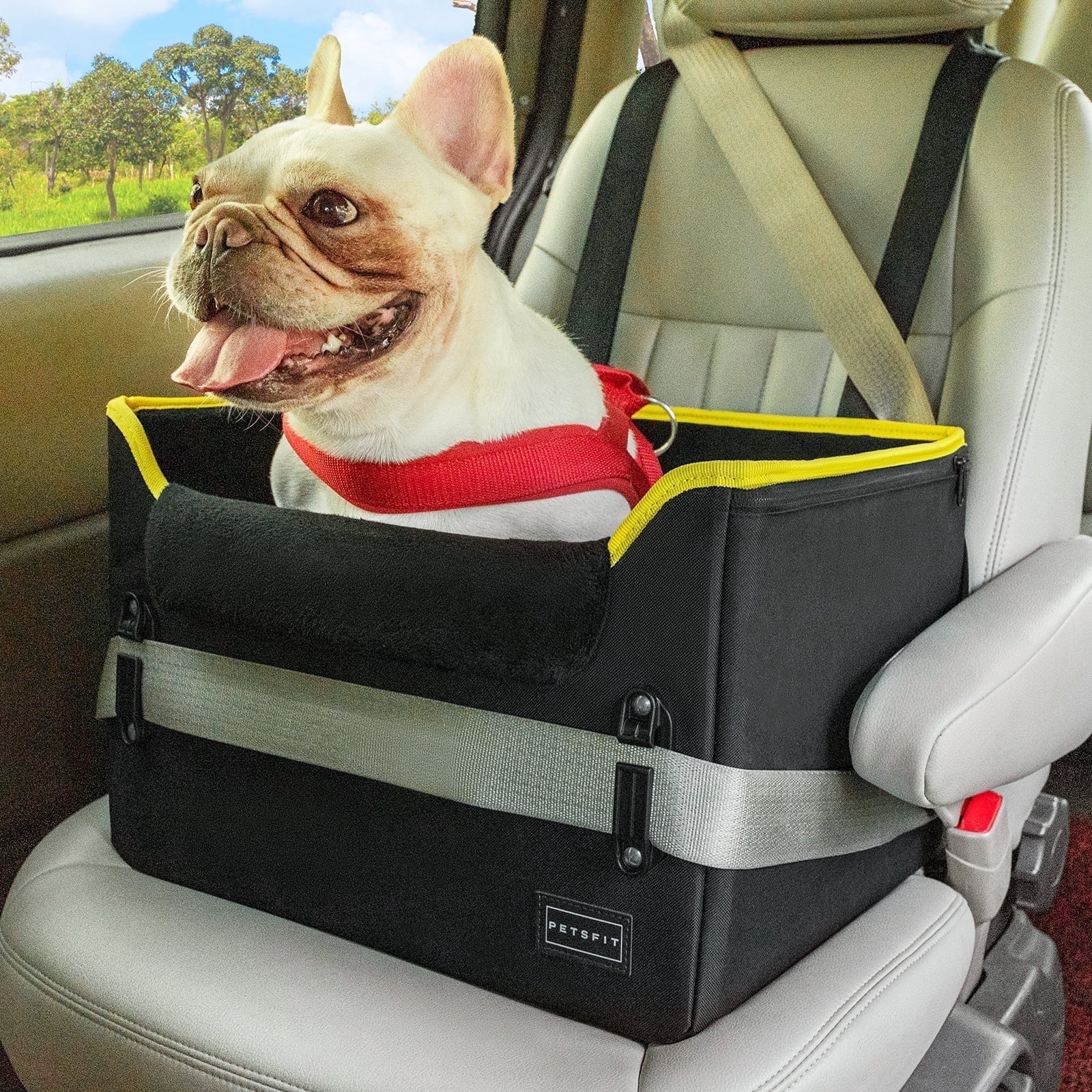 PETSFIT Pet Booster Car Seat for Small Dogs, Puppy Stable Car Seat for Car with Clip-On Leash,Up to 25lbs，Black