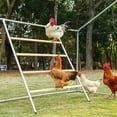 thumbnail image 1 of PETSFIT Square Chicken Roosting Perch, Perfect for Backyard Poultry, Chickens Perch for Coop, Easy to Assemble&Clean, Farm Chicken Toys (55" L x 40" W), 1 of 9