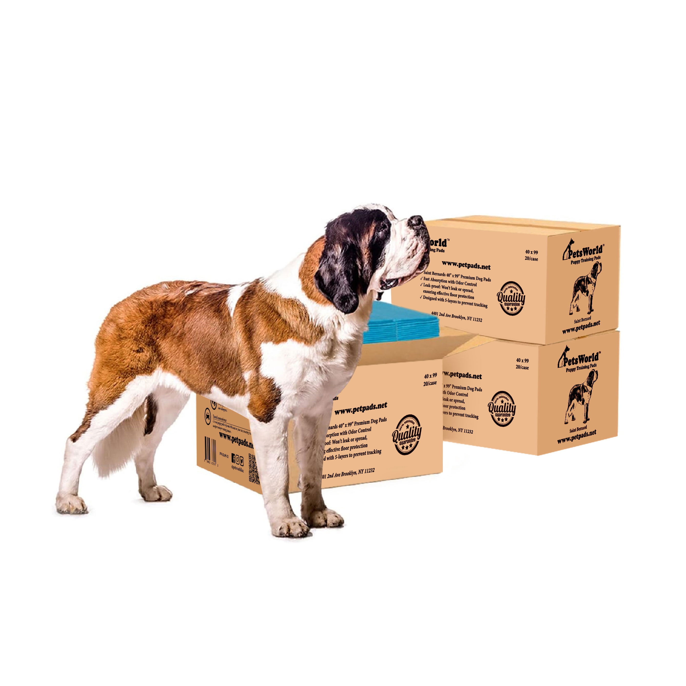 Curated visual reference: Adhesive Tape Safety For Dog Owners Reference: Petsworld 4Xl Gigantic Dog Pee Pads 40 X99 60 Count