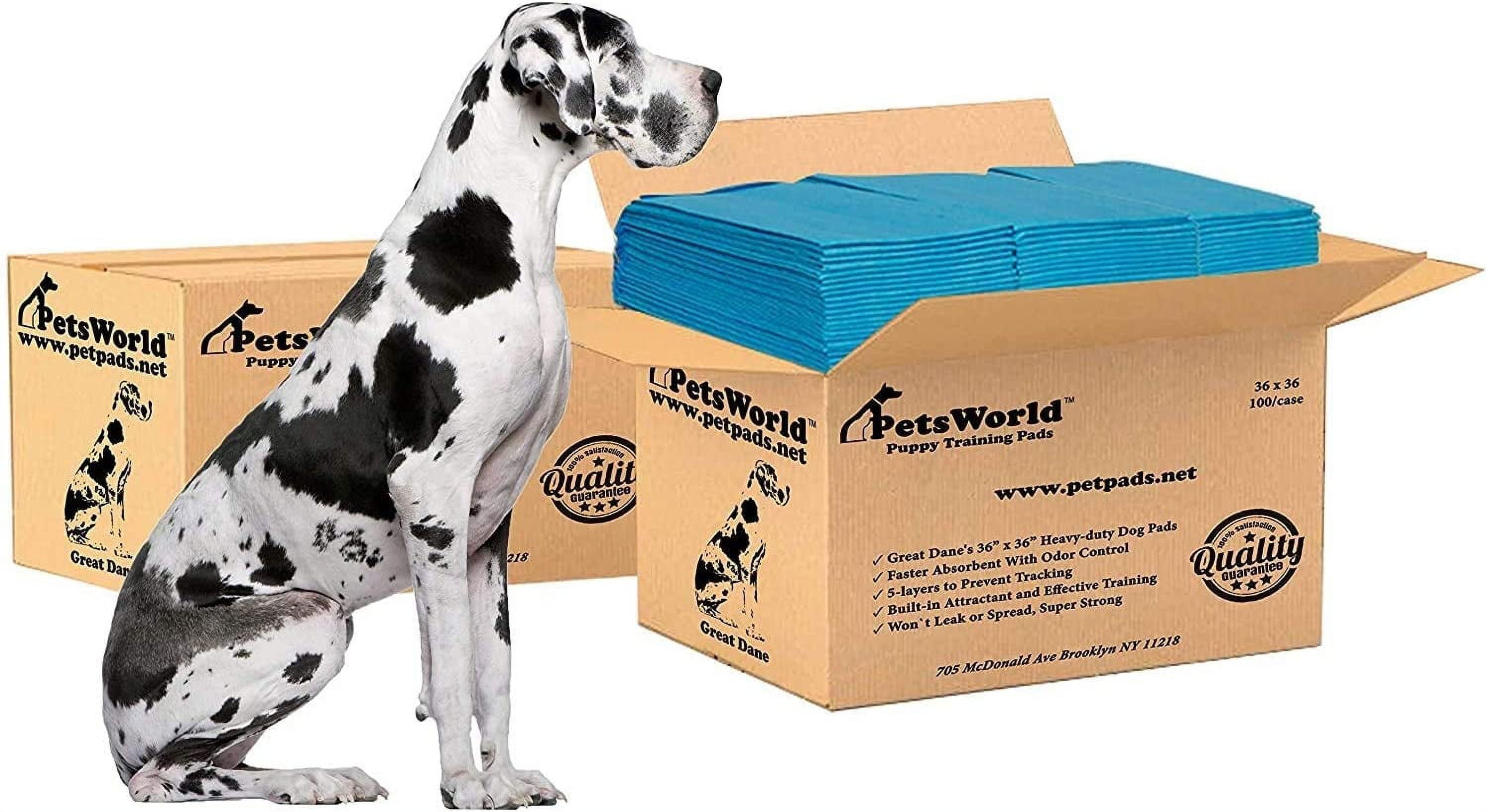 Extra Large Blue 5-Layer Disposable Dog Potty Pads, 36" x 36", 200 Count