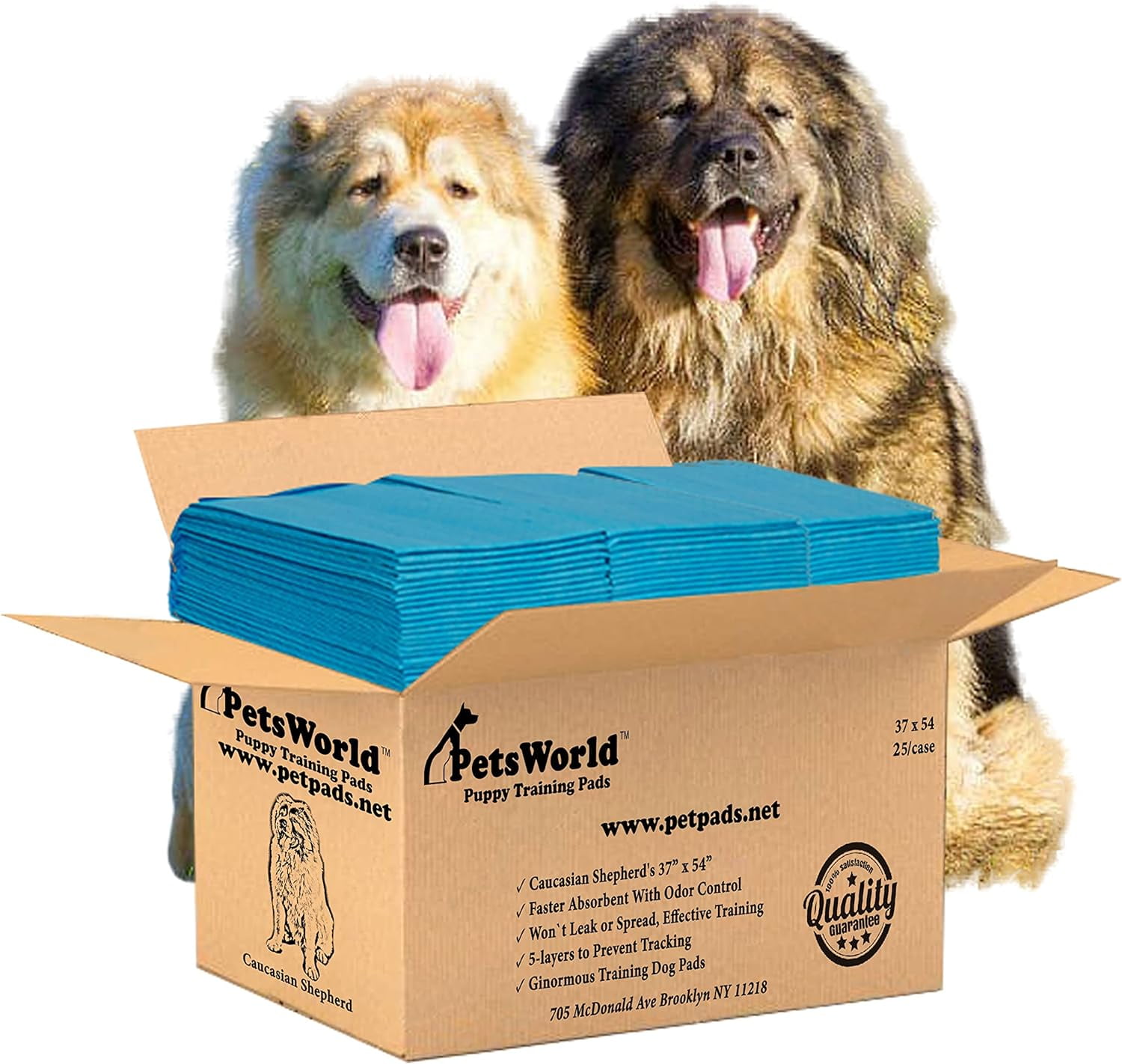 XXXL Blue Tear-Resistant Pet Potty Pads, 37x54 inch, 25 Count