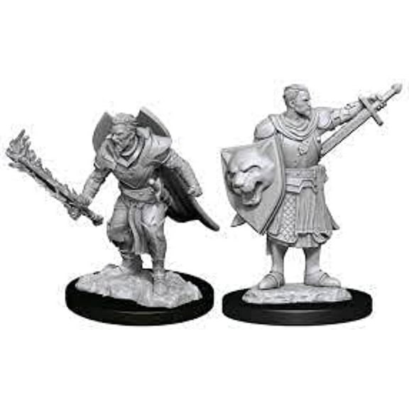 PF: DC: Human Champion Male W14 Wizkids Pathfinder Battles Deep Cuts - WZK90263