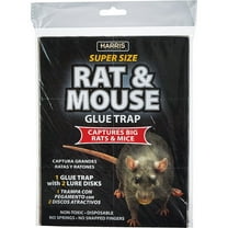 Harris Super-Sized Rat and Mouse Glue Trap with Lure, 1 Trap