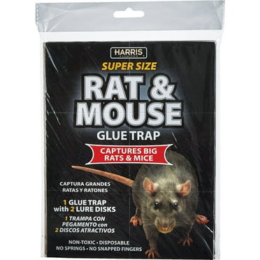 Harris Super-Sized Rat and Mouse Glue Trap with Lure, 1 Trap