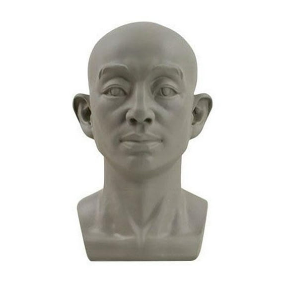 PFDDRW Planar Head Model For Artists Learn Planes of Face Model Human GT Head X1j (A)