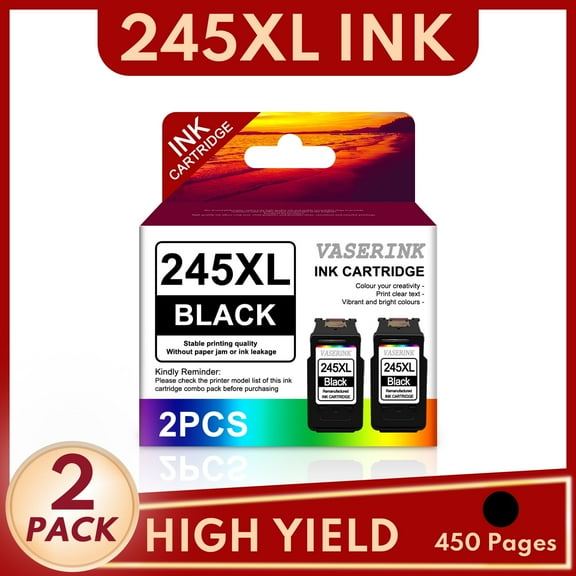PG 245 Ink Cartridge Replacement for Canon 245 XL PIXMA MG2920 MG2922 MG2924 Printer (2 Black)