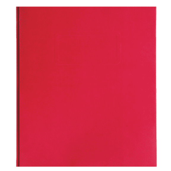 PG PRONG FOLDER 10PK