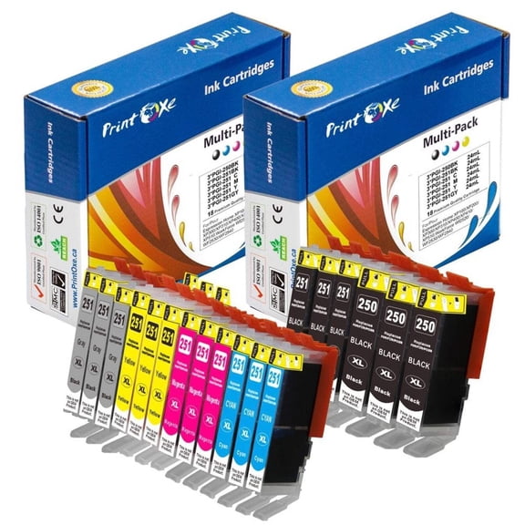 PGI 250 / CLI 251 Compatible Ink With/Without Grey for Canon
