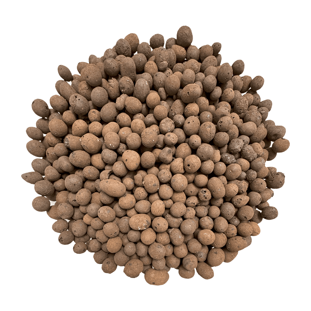 Stock Your Home 5Lbs LECA Balls Expanded Clay Pebbles Hydroponics Soil  Supplies for Indoor Garden Plants - Organic Aquaponics Grow Media Drainage