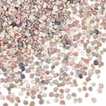 thumbnail image 1 of PH 1350pcs Tiny Sea Shells No Hole Seashells Natural Conch Seashell Bulk for Resin Crafts Candle Making Crafting Vase Fillers Fish Mirror Decoration Ocean Beach Theme Party 3~7mm Colorful DIY, 1 of 5