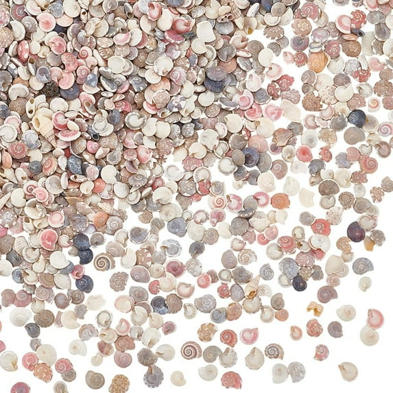 PH 1350pcs Tiny Sea Shells No Hole Seashells Natural Conch Seashell Bulk for Resin Crafts Candle Making Crafting Vase Fillers Fish Mirror Decoration Ocean Beach Theme Party 3~7mm Colorful DIY
