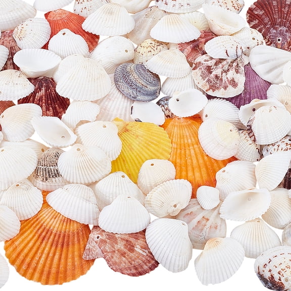 PH 250g(86pcs) Natural Seashells Beads 22~61mm Ocean Scallop Sea Shell Beads Drilled Beach Seashells with Hole