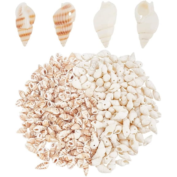 PH 300pcs Natural Seashell Beads 2 Styles 14~22mm Ocean Beach Spiral Shells Craft Sea Shells Charms with 1mm Hole for Summer Jewelry Bracelet Necklace Making Party Wedding Decor 4 Strands Colorful