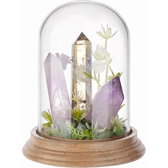 PH 4.2" x 5.5" Glass Display Dome Cloche Glass Dome Clear Bell Jar Display Case Tabletop Centerpiece with Solid Wood Base for DIY Snow Globes Flowers Plants Birthday Home Decor Light Brown White