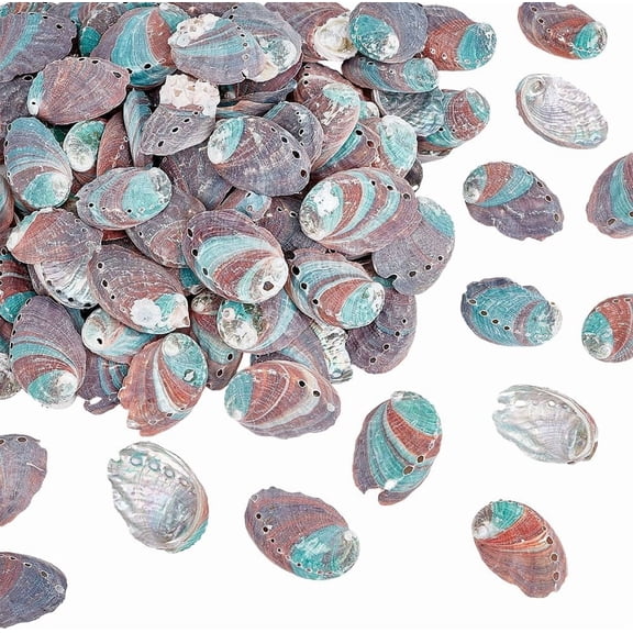 PH Approx.110pcs Natural Green Abalone Seashell 2 Inch Ocean Beach Sea Shells Small Craft Shell Ornament with Hole for DIY Craft Summer Party Table Wind Chime Costume Decoration 500g for DIY