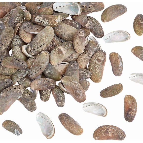 PH Approx.95pcs Natural Donkey Ear Abalone Shell 2-2.7 Inch Ocean Beach Seashells Craft Shell Ornament with Hole for DIY Craft Summer Party Table Costume Fish Decoration 500g Camel