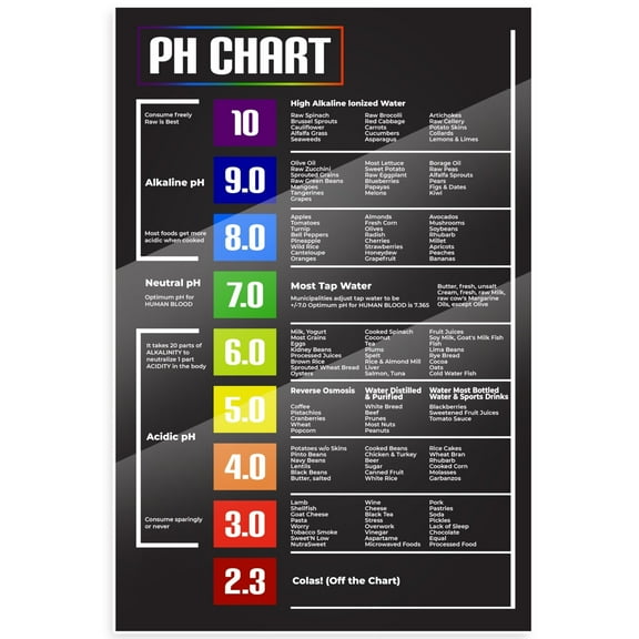 PH Chart Poster - Alkaline Acidic Foods - Health Education Poster