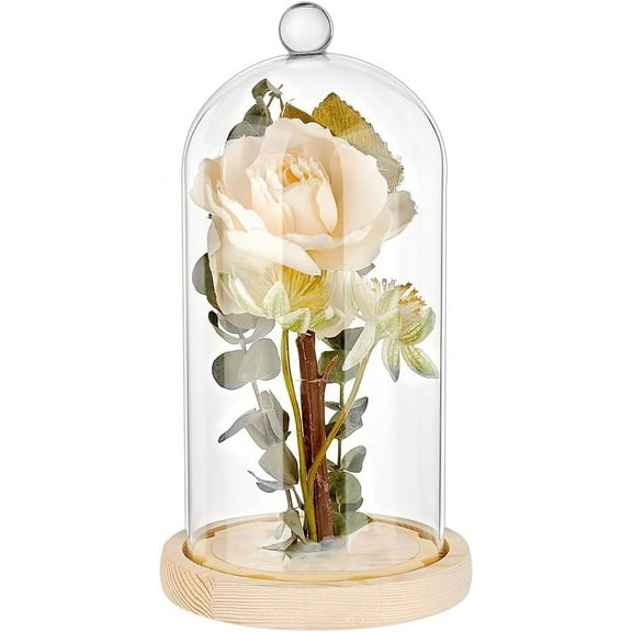 PH Cloche Glass Dome Clear Glass Display Dome with Top Handle Cloche Bell Jar Dome Cover Decorative Display Case for Plants Flower Cake Clay Succulents Christmas Display 9x4.7 inch