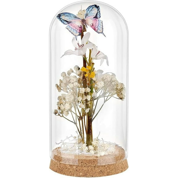 PH Glass Display Dome Cloche 7.3x3.5inch Glass Bell Jar with Cork Decorative Jars Cloche Display Case for Flower Storage Home Christmas Party Favor Decoration