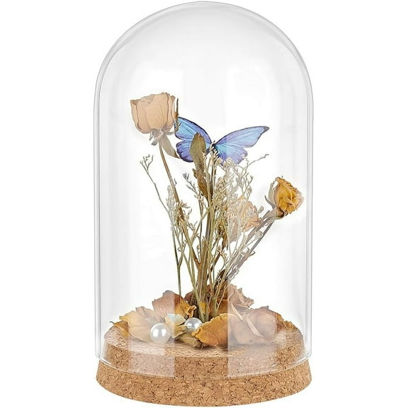 PH Glass Display Dome Cloche Glass Bell Jar with Cork Small Glass Bottles Dome Decorative Jars Cloche Display Case for Flower Storage Home Christmas Party Favor Decoration 6.3x3.5inch Clear