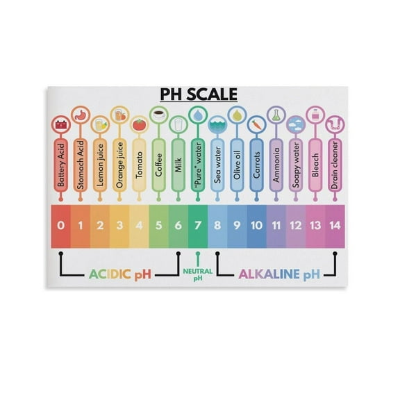 PH SCALE POSTER, Educational , Science for Kids, Visual Aids, Pastel Colors, Classroom , Canvas Art Poster And Wall Art Picture Print Modern Family Bedroom Decor Posters