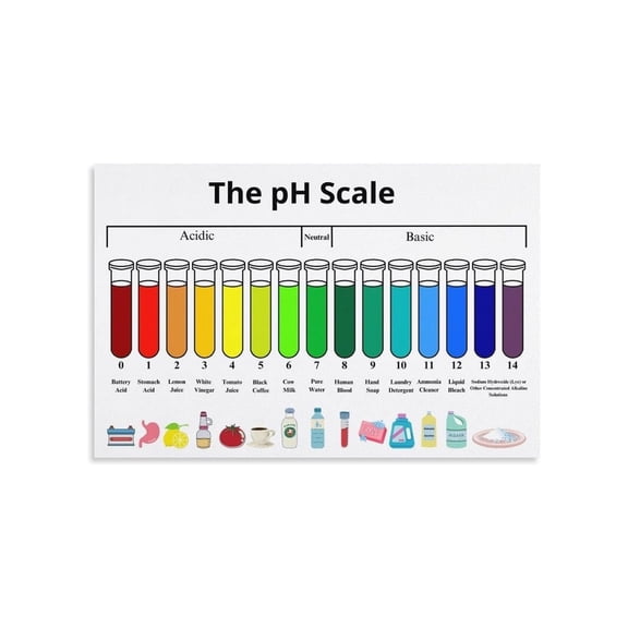 PH Scale Chart Educational Poster Science Chemistry Classroom Decor Lab Reference Acid Base Chart for Students Teachers Homeschool