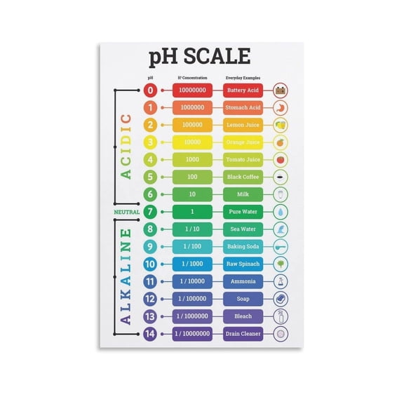 PH Scale Poster with H+ Concentration Relative to Pure Water Science Decorative Painting Canvas Wall Art Posters for Room Aesthetic