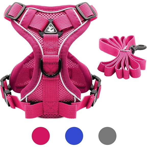 PHANY Small Breed Dog Harness, No Pull with an Easy to Control Leash, Easy Walk and Choke-Free Harness for Small Breed Dogs, Puppy and Cat (Pink, Size XL)