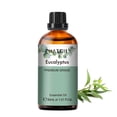 thumbnail image 1 of PHATOIL 30ml Eucalyptus Essential Oil for Diffusers Humidifier Aromatherapy Massage, Pure Undiluted Eucalyptus Oil, 1 of 9
