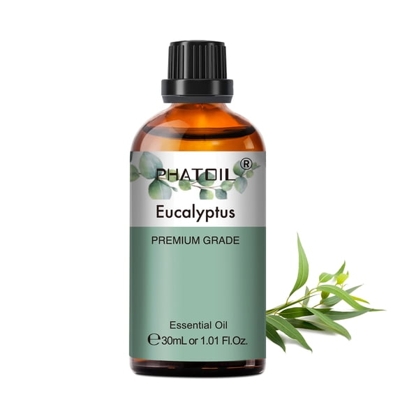 PHATOIL 30ml Eucalyptus Essential Oil for Diffusers Humidifier Aromatherapy Massage, Pure Undiluted Eucalyptus Oil