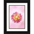 thumbnail image 1 of PHBurchett 11x14 Black Ornate Wood Framed with Double Matting Museum Art Print Titled - Exotic Flower Burst I, 1 of 4