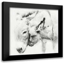 PHBurchett 12x12 Black Modern Framed Museum Art Print Titled - Donkey Portrait III