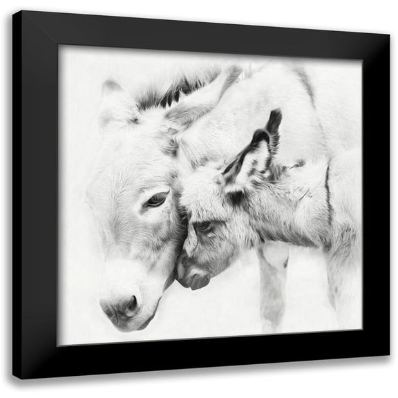 PHBurchett 12x12 Black Modern Framed Museum Art Print Titled - Donkey Portrait III