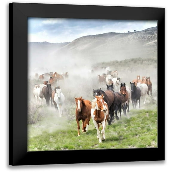 PHBurchett 12x12 Black Modern Framed Museum Art Print Titled - Stampede II