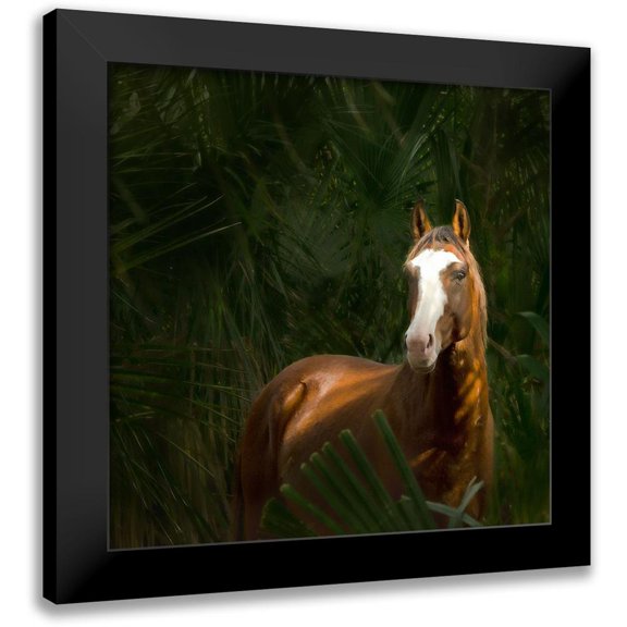 PHBurchett 12x12 Black Modern Framed Museum Art Print Titled - Wild II