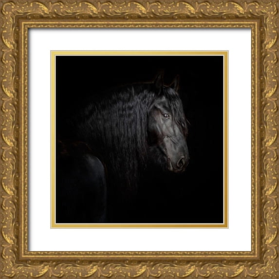 PHBurchett 12x12 Gold Ornate Wood Framed with Double Matting Museum Art Print Titled - Equine Portrait X