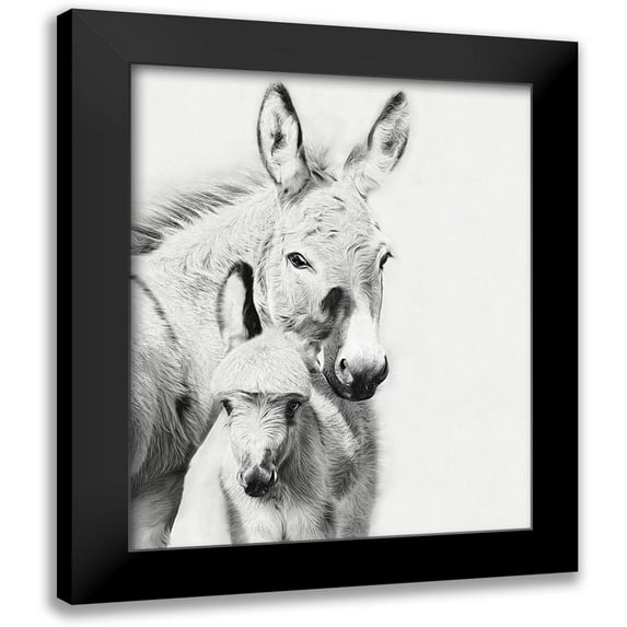 PHBurchett 12x14 Black Modern Framed Museum Art Print Titled - Donkey Portrait V