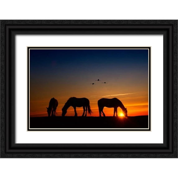 PHBurchett 14x11 Black Ornate Wood Framed with Double Matting Museum Art Print Titled - Fly Over