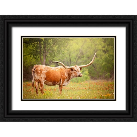 PHBurchett 14x11 Black Ornate Wood Framed with Double Matting Museum Art Print Titled - Sunlit Midwest I