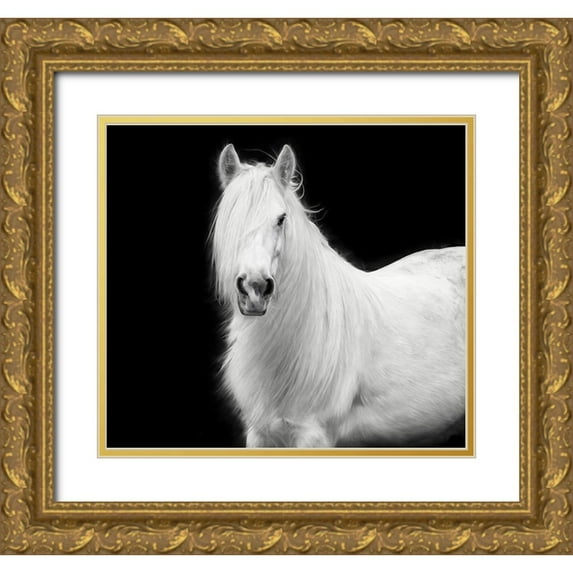 PHBurchett 16x15 Gold Ornate Wood Framed with Double Matting Museum Art Print Titled - Equine Portrait V